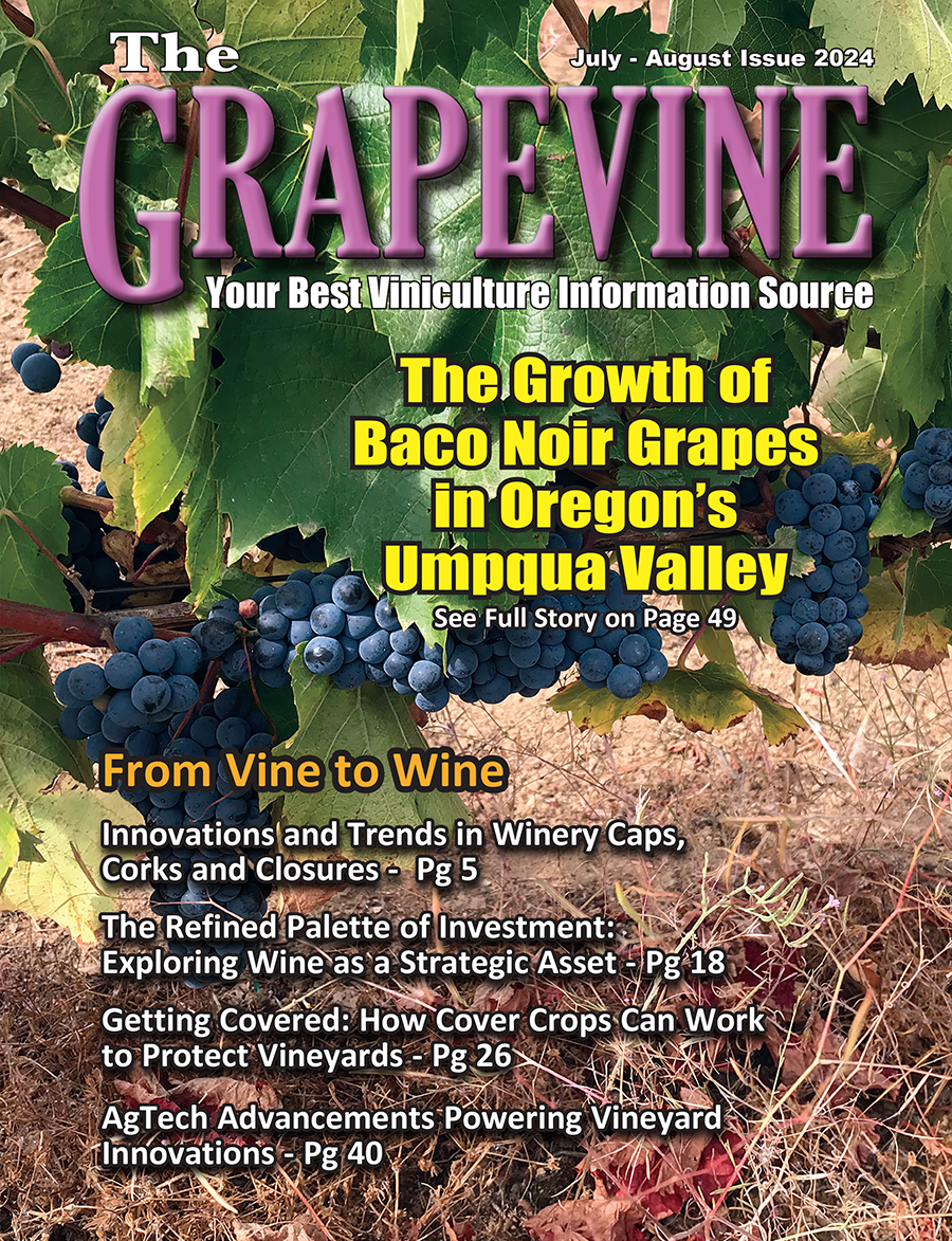 Grapevine The Growth of Baco Noir Grapes in Oregon's Umpqua Valley